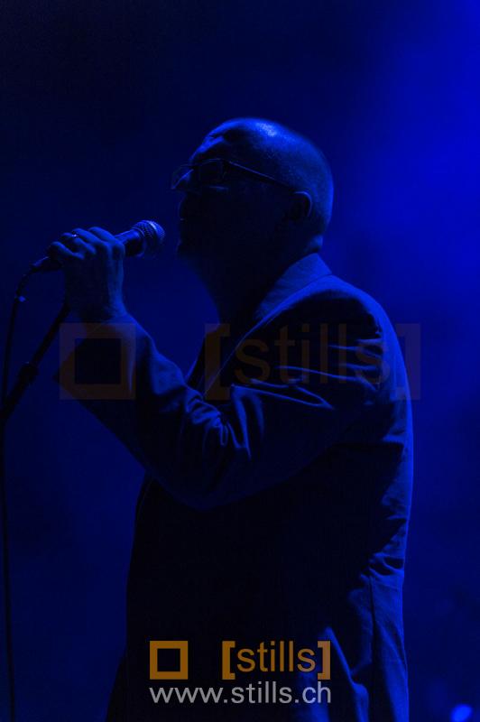 Metropop Festival 2013