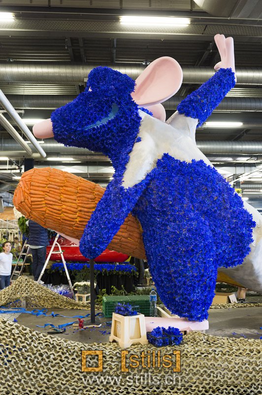 Fête des Narcisses 2015