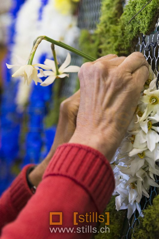 Fête des Narcisses 2015